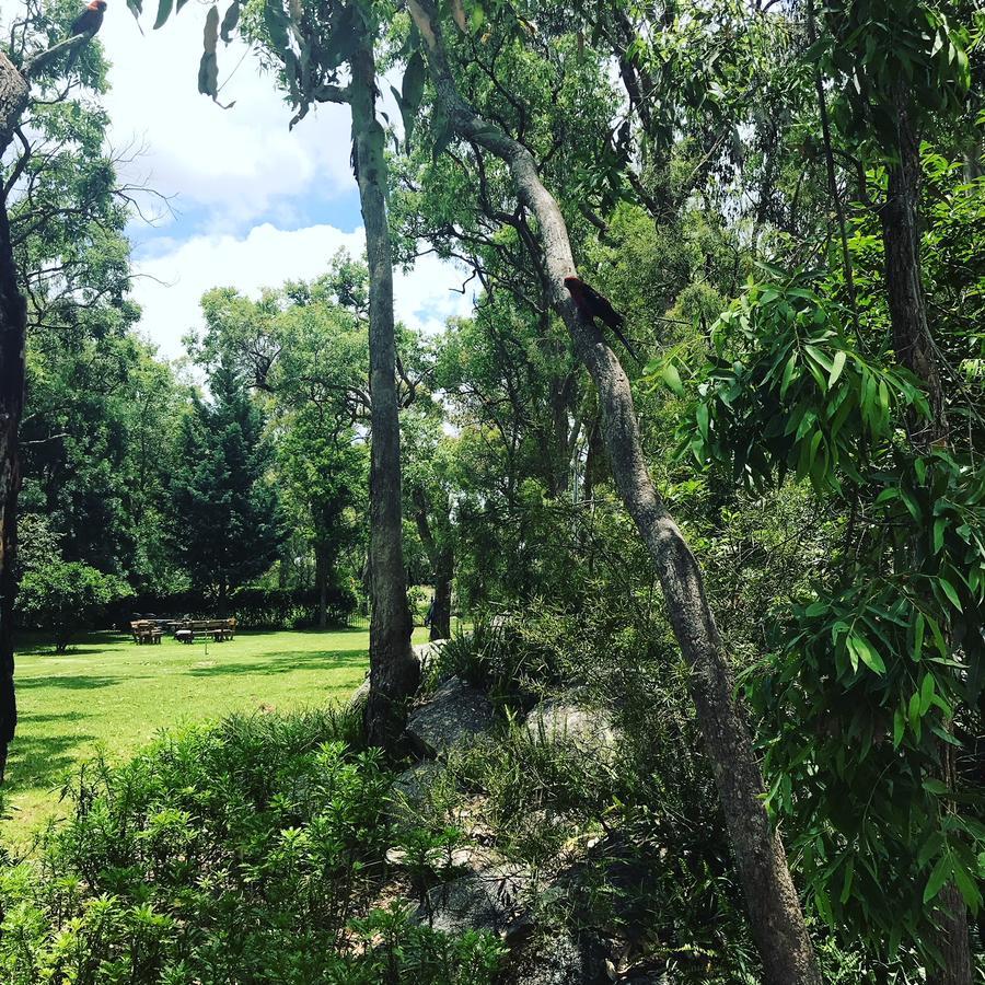 Honeysuckle Cottages Stanthorpe Dış mekan fotoğraf